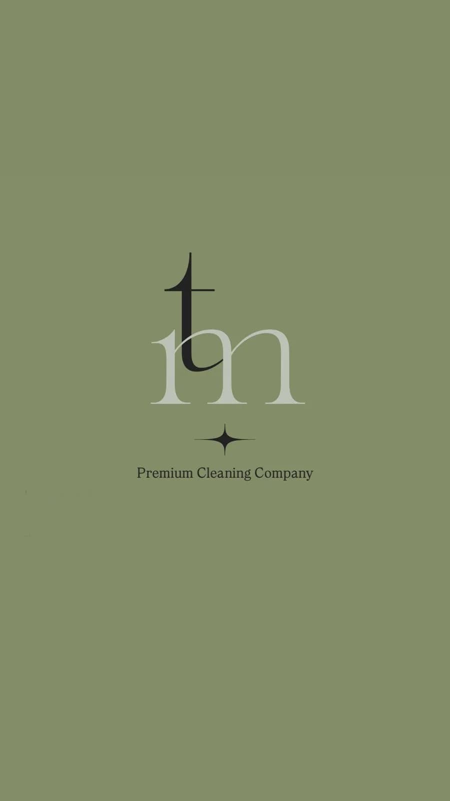 MT Cleaning Logo